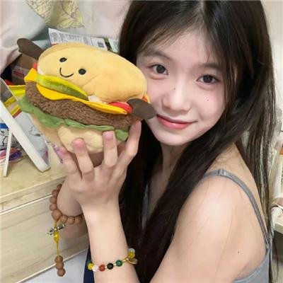 公主复仇者